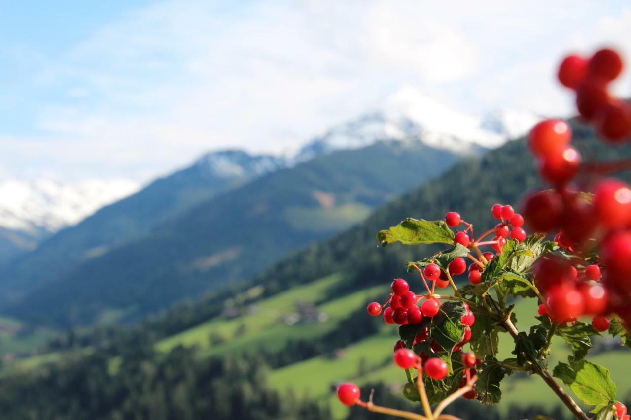Moahof Apartman Alpbach Kültér fotó