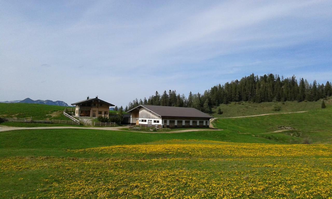Moahof Apartman Alpbach Kültér fotó