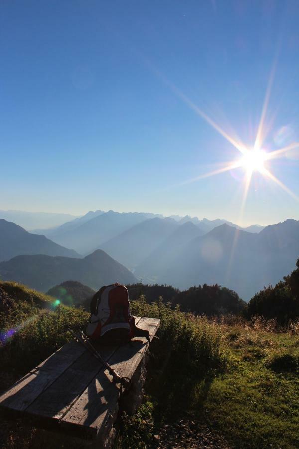 Moahof Apartman Alpbach Kültér fotó