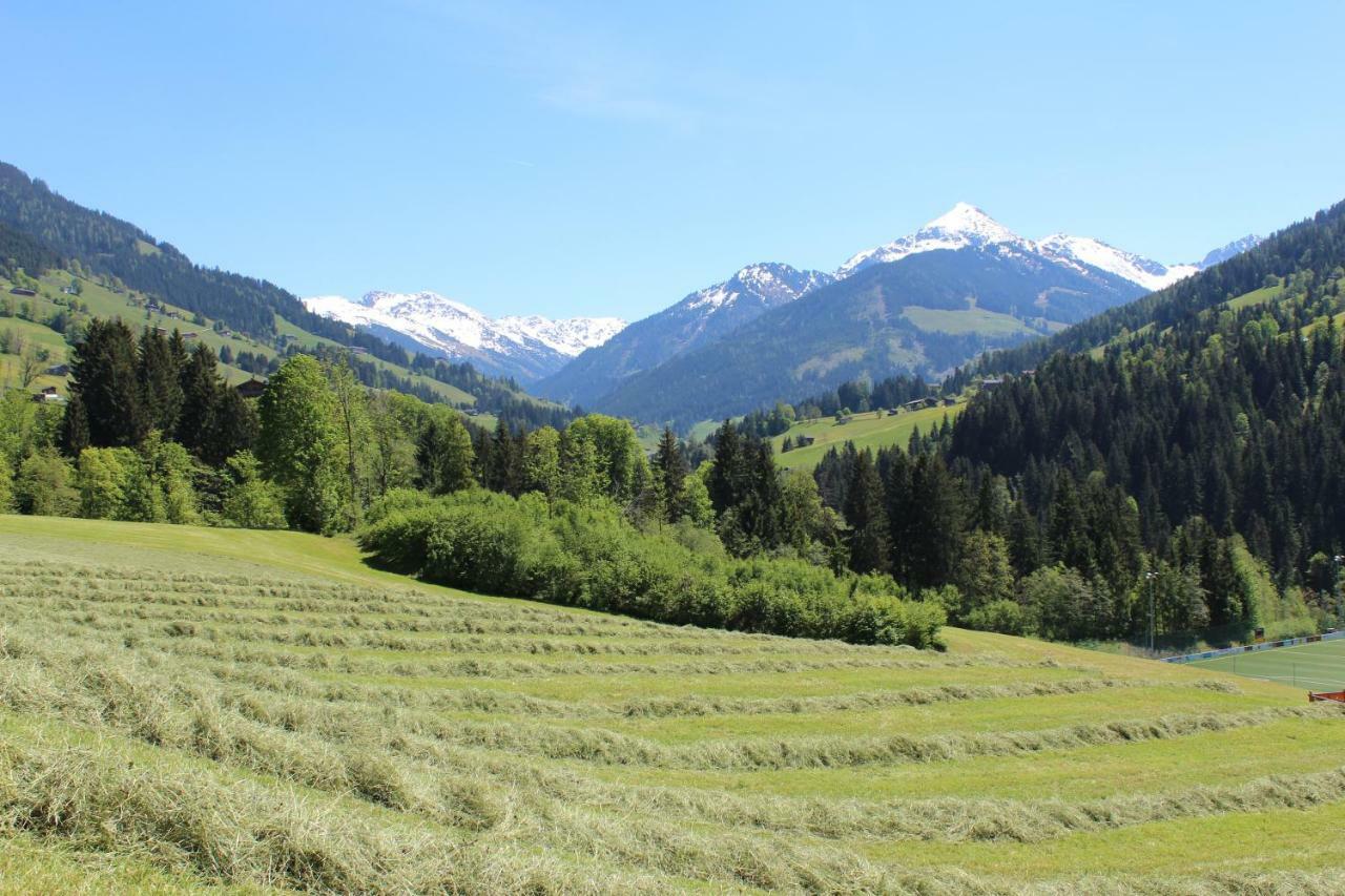 Moahof Apartman Alpbach Kültér fotó